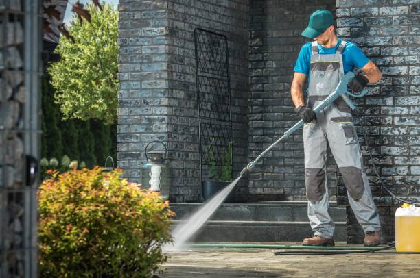 Best Animal Enclosure Cleaning  in Thornton, IL